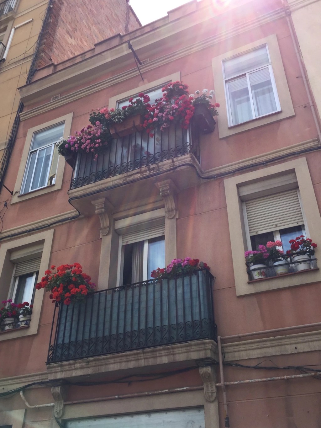 The Bookmaker’s Brother