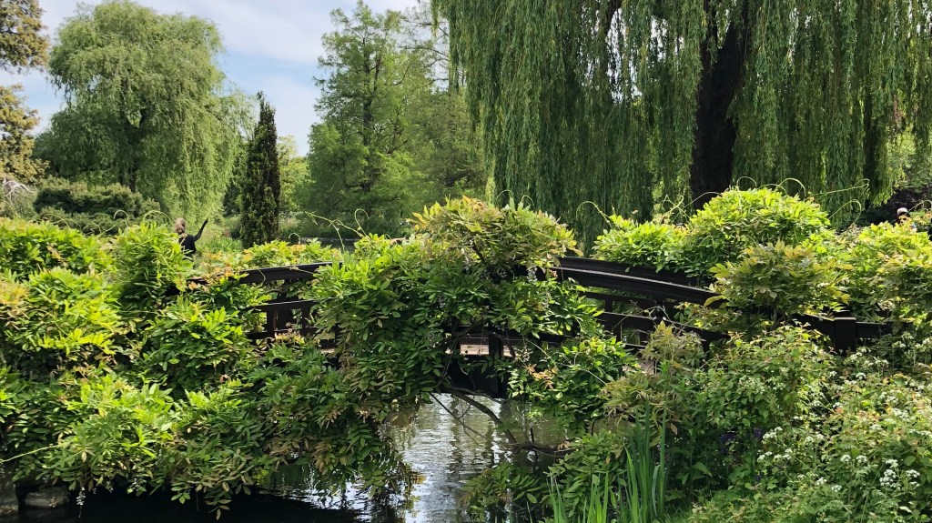 Thoughts from the Lawn (a Chartreuse&nbsp;Lawn)