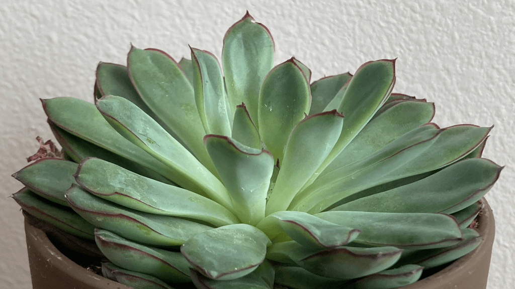 Excellence in the&nbsp;Workplace