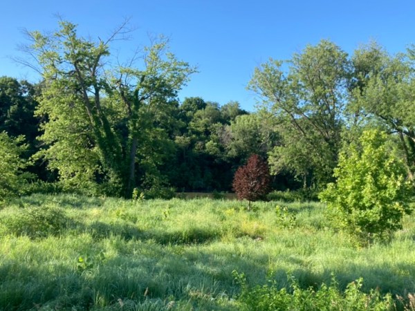 Two Friends Paint the Living Room Pool-Bottom&nbsp;Blue