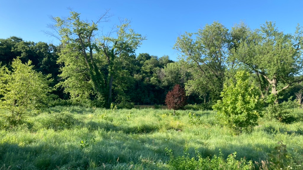 Two Friends Paint the Living Room Pool-Bottom&nbsp;Blue